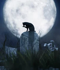 Fototapeten Schwarze Katze sitzt auf einem Grabstein in der Halloween-Nacht, 3D-Darstellung. © Joelee Creative
