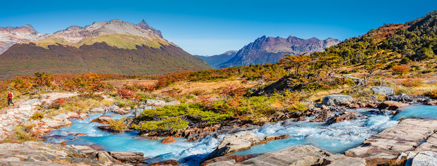Beautiful landscape of lenga forest, mountains at Tierra del Fuego National Park, Patagonia - obrazy, fototapety, plakaty