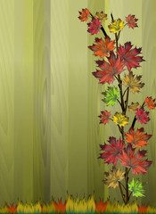 branch with colorful maple leaves on a wooden background