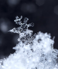 natural snowflakes on snow