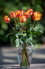 Rainbow roses in th vase