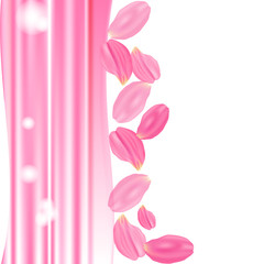 The set pink rose petals. White background