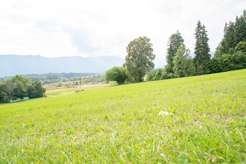 Alpenland in Bayern