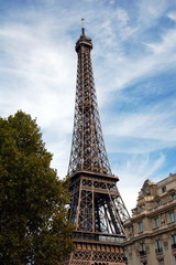 Fototapeta na wymiar La tour Eiffel (Eiffel Tower) 