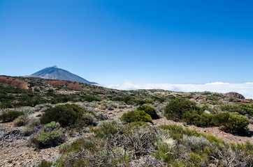 Landscape with Mount Teide, mountain vegetation and white clouds. Teide National Park, Tenerife, Canary Islands, Spain.  