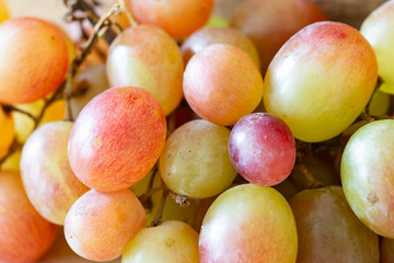 Closeup of fresh colorful grapes on a wooden plank, under the soft morning light