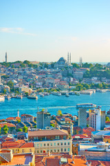 Naklejka premium Istanbul and the Golden Horn inlet