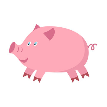 Little funny pig cartoon. Vector illustration for your cute design.