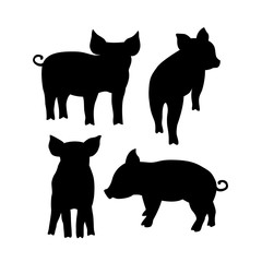 Black pig silhouette.