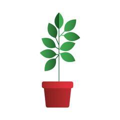 leafs plant in pot decorative icon