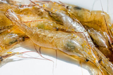 fresh sea prawns, healthy food