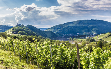 Marienburg am Prinzenkopf an der Mosel Deutschland