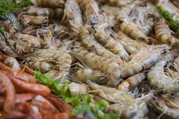 Background of fresh seafood fish clams crabs