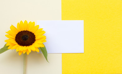 Top view flat lay picture with notepad as mockup for your design and flower on yellow background. Copyspace for your text.