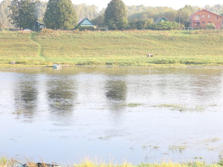 river landscape in the autumn sunny morning