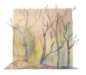 Watercolor magic forest, isolated deep mystic woods illustration