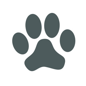 Animal paw print graphic icon.  Paw dog sign isolated on white background. Vector illustration