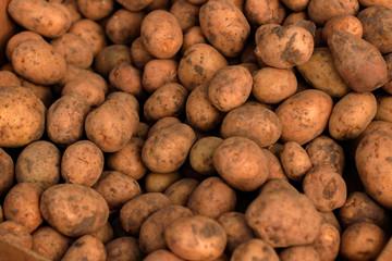 food, potato, vegetable, potatoes, isolated, healthy, fresh, raw, brown, agriculture, white,...