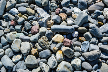 Rocks on beach