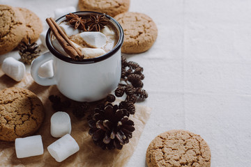 Winter and autumn hot drink. Hot chocolate or cocoa with marshmallow , cookies and spices on white background.