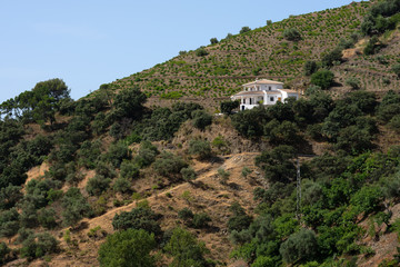 Fototapeta na wymiar Haus in Andalusien
