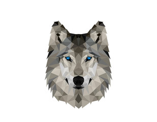 Polygonal Wolve Head Logo Design Illustration © meddesigner