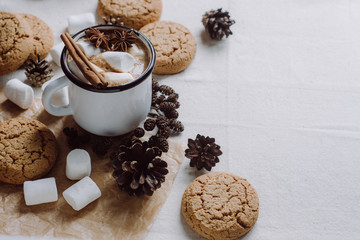 Winter and autumn hot drink. Hot chocolate or cocoa with marshmallow , cookies and spices on white...