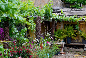 Beautiful rural garden with tropical plants and flowers in Vilaflor mountain village,
Tenerife,Canary Islands,Spain.