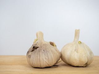 Garlic has fungus.