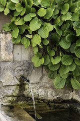 Ancient fountain in Italy