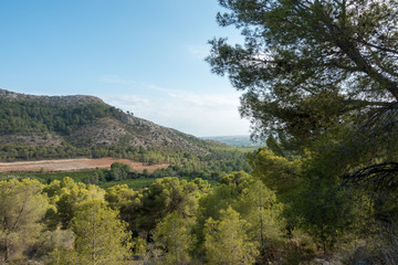 Fototapeta na wymiar The desert park of Las Palmas in Castellón