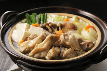 鶏鍋　Japanese chicken hot pot