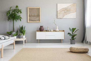Wicker footrest placed on big carpet on the floor in real photo of light grey living room interior with fresh green plants, two modern posters and white cupboard