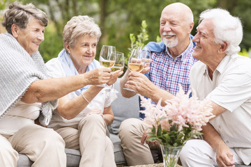 A toast made by happy senior women and men to celebrate the beautiful summer afternoon during their leisure time together. Smiling elderly couples with wine glasses. - obrazy, fototapety, plakaty