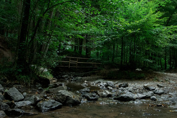The woods surrounding the bridge and river of Ninlispo, Belgiuim