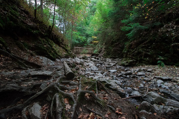 Bridge over a dried out river, Ninglispo, Belgium.