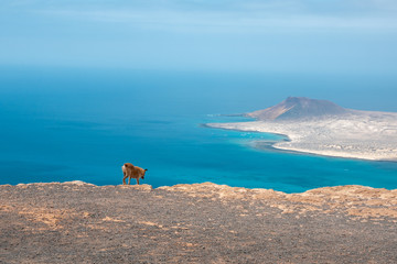 girl together with her mascot