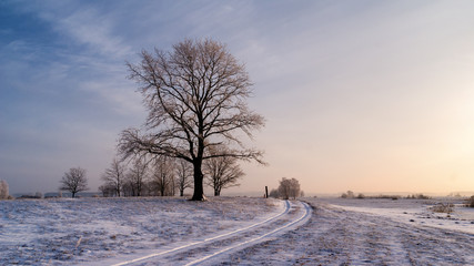 Zima na Podlasiu, Polska