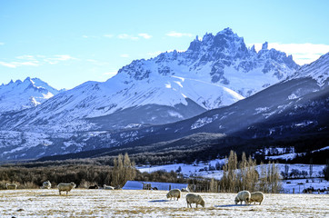 Paisaje en Coyhaique - Chile