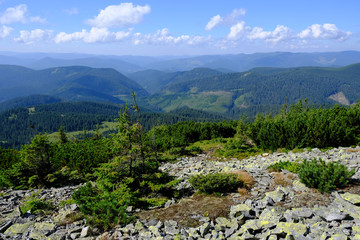 Ukraina, Karpaty Wschodnie - góry Gorgany Środkowe, górski krajobraz okolicach Wielkiej Sywuli (najwyższego szczytu Gorganów)