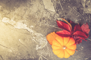 One harvest pumpkin with fall leaves, flat lay scene, copy space on gray stone, retro toned