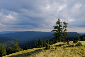 Ukraina, Karpaty Wschodnie - góry Gorgany Środkowe, krajobraz w okolicach Przełęczy Ruszczyna © Iwona
