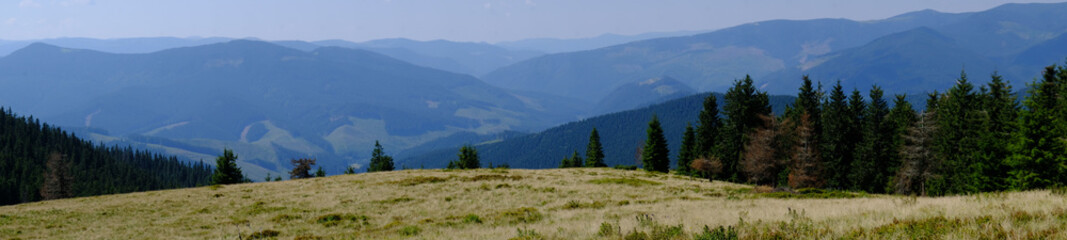 Fototapeta na wymiar Ukraina, Karpaty Wschodnie - góry Gorgany Środkowe, górska panorama