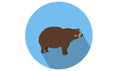 Bear Vector Flat Isolated icon