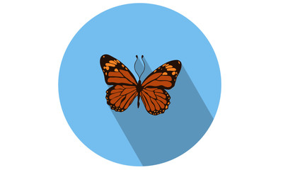 Colorful Butterfly Vector isolated flat icon for web and mobile