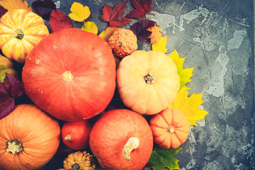 Ripe of pumpkins with fresh fall leaves, flat lay scene, copy space on gray stone, retro toned