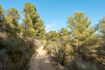 Fototapeta premium The desert park of Las Palmas in Castellón