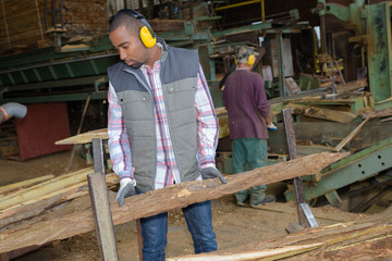 sorting the lumber