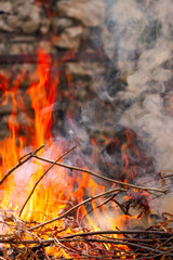 yanan ağa&ccedil; dalları