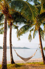 Vacation Relaxation  hammock hanging from coconut trees on beach, Phuket Thailand